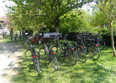 Les Vélos du Marais Poitevin