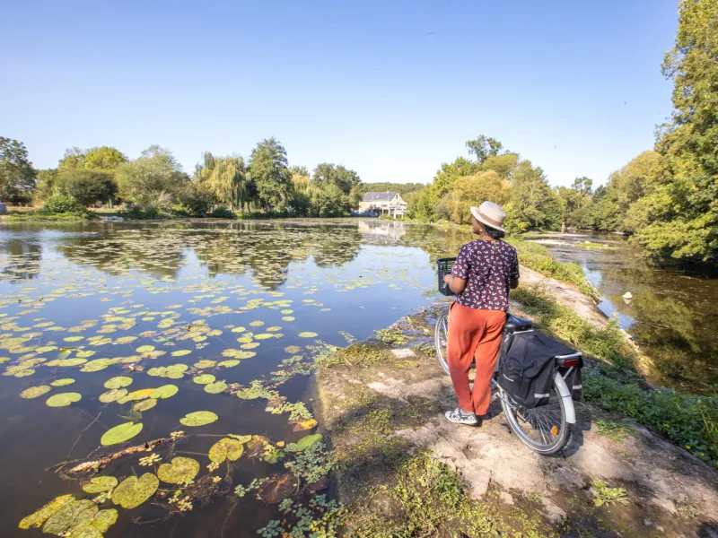 Sainte-Verge, Deux-Sèvres