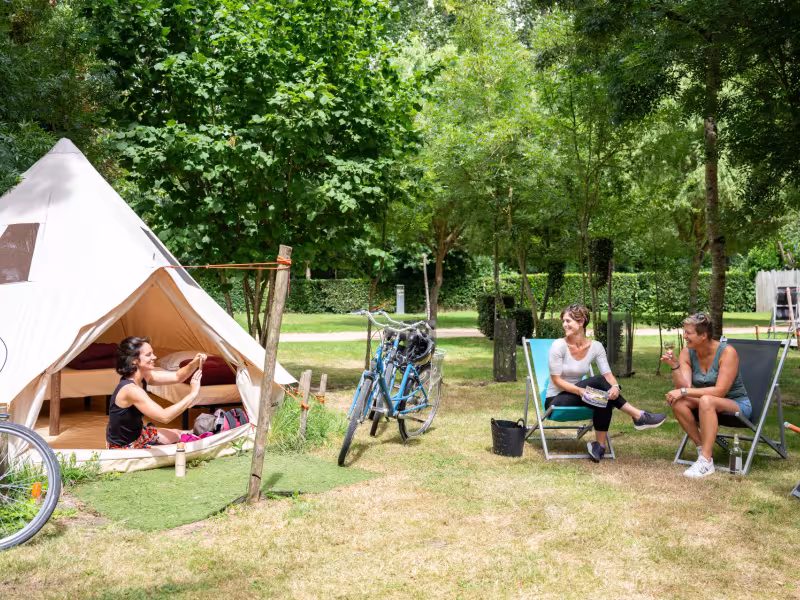 Camping Accueil Vélo "Ô P'tit Marais" à Vix