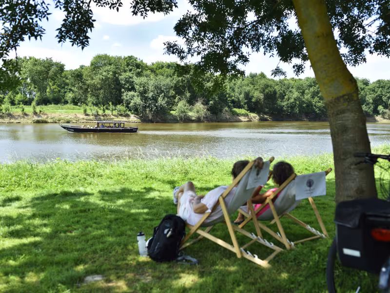 Bord de Mayenne - Cantenay-Epinard