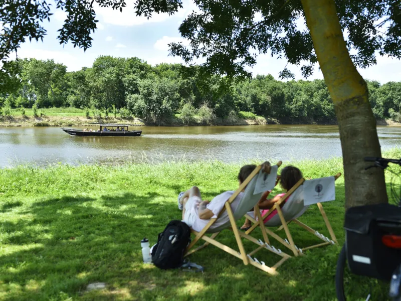 Bord de Mayenne - Cantenay-Epinard