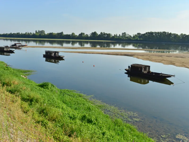 Toues sur la Loire à Thoureil