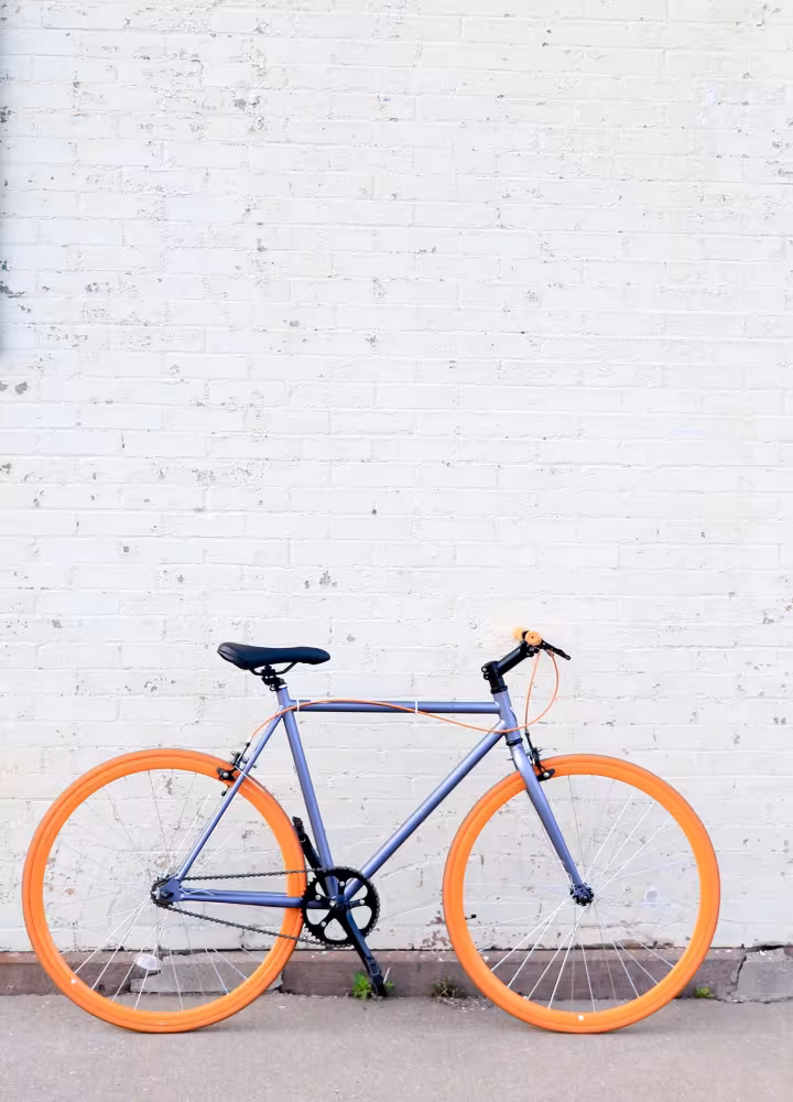 histoire du vélo-retour sur ses 200 ans d'existence