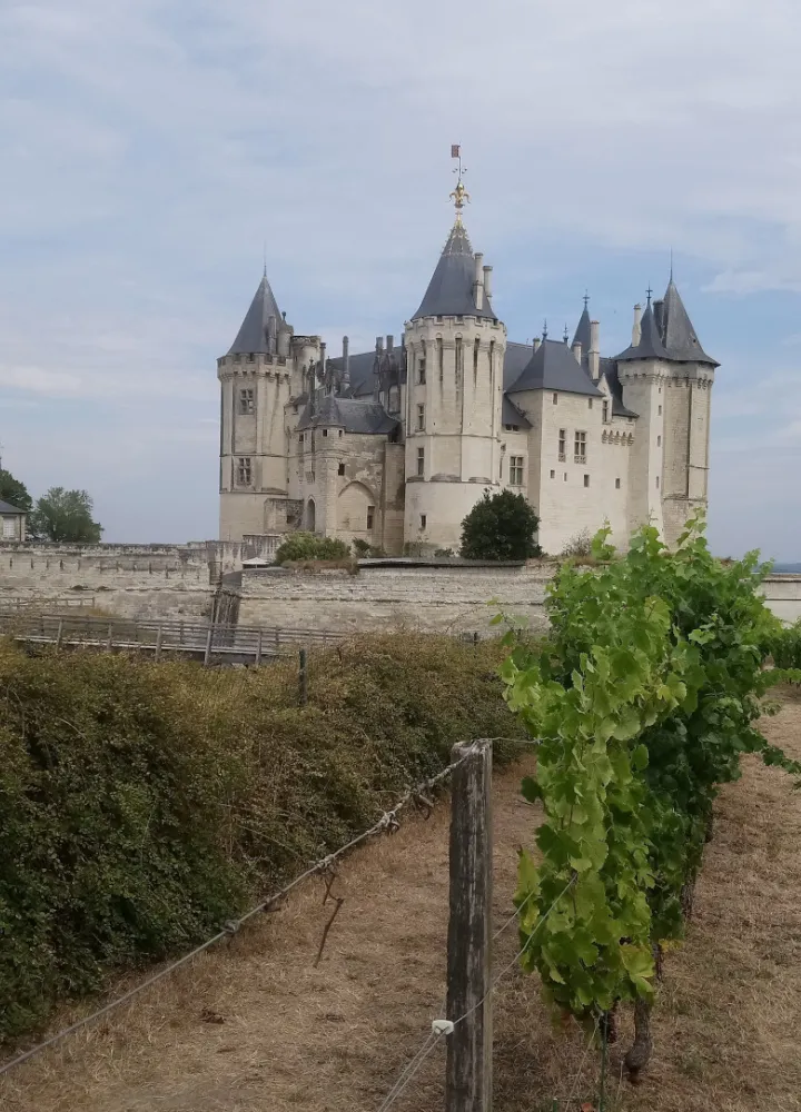 Château de Saumur