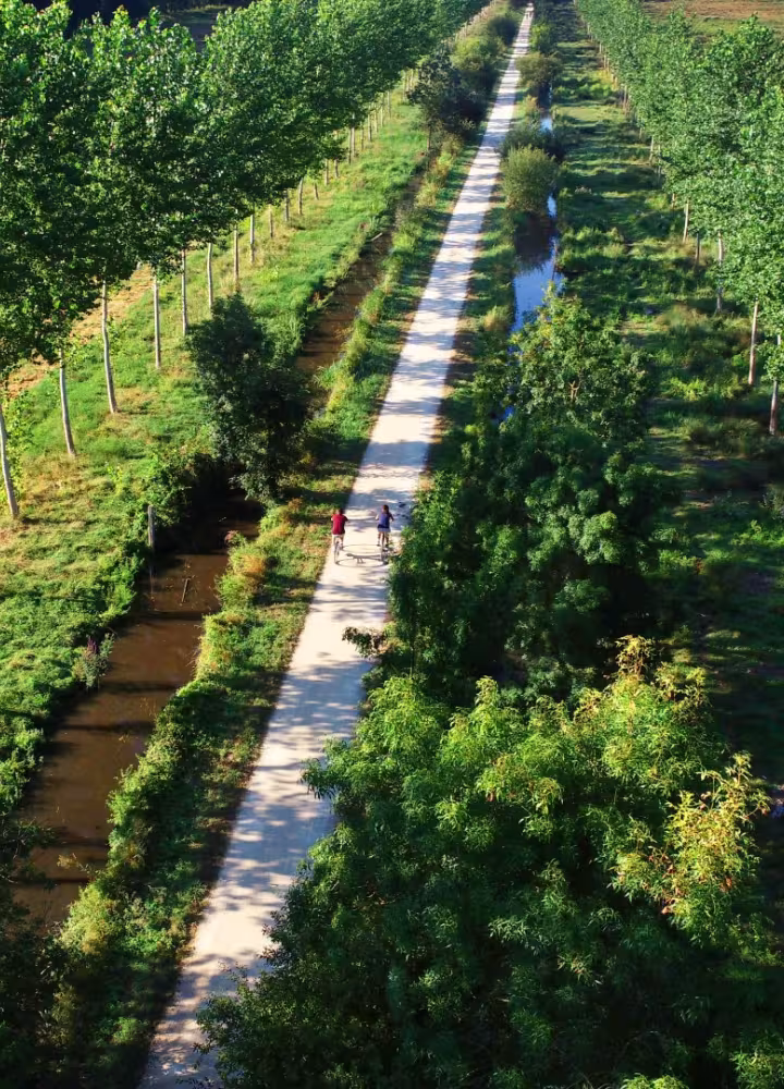 Traversée du marais Poitevin à vélo dans le secteur de La Garette