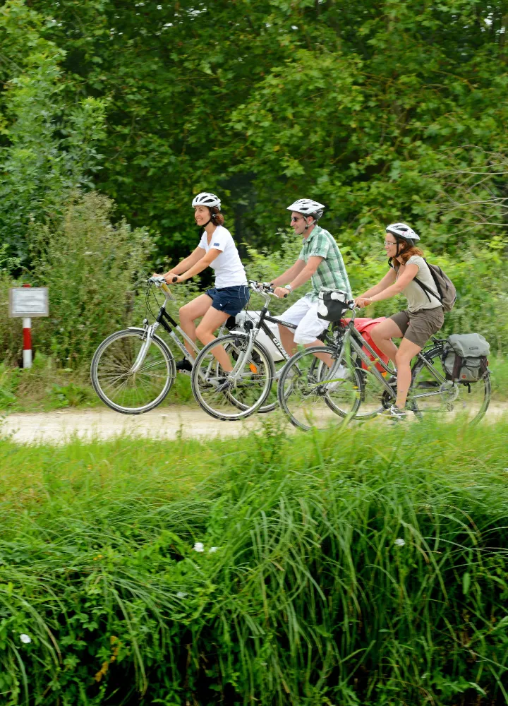 Day 2: Return to Damvix (22 km) 