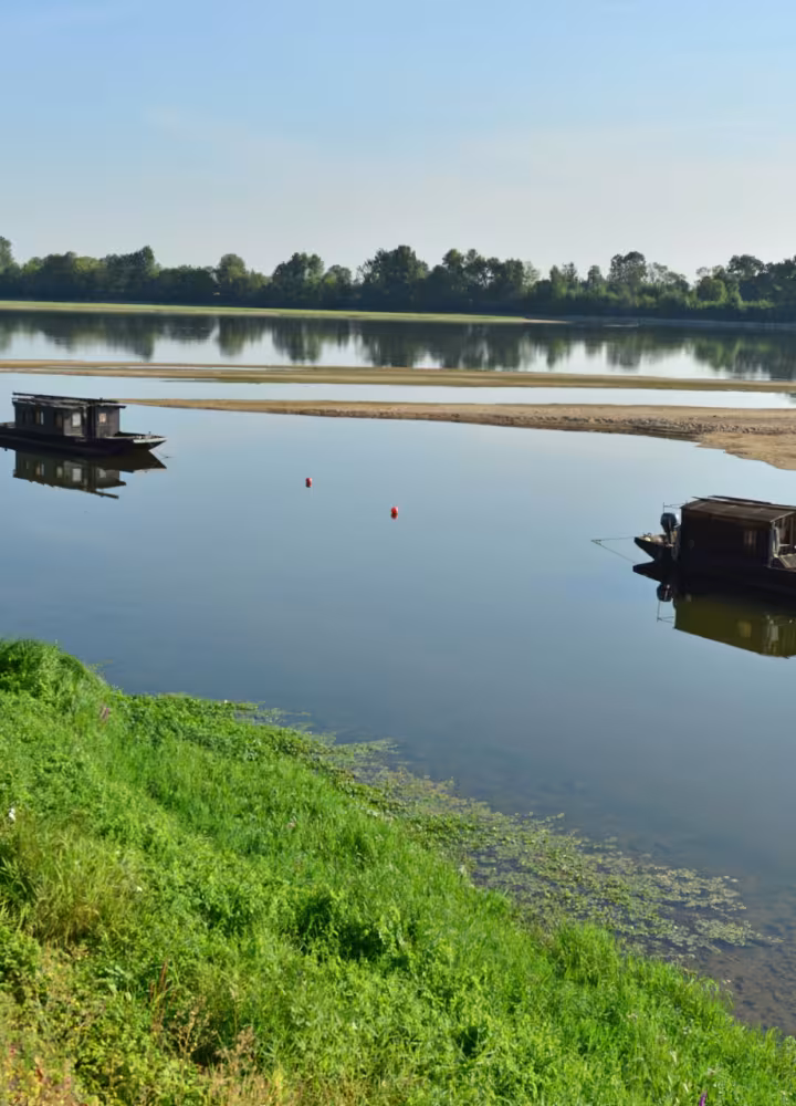 Toues sur la Loire à Thoureil