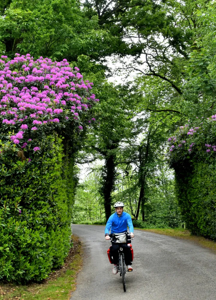 Cyclotouriste sur la Vélo Francette sur une route fleurie
