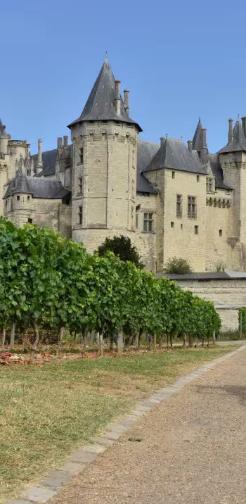 Le Château de Saumur, palais des ducs d'Anjou