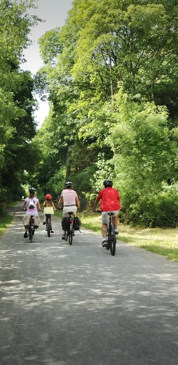 Balade autour de Domfront-en-Poiraie