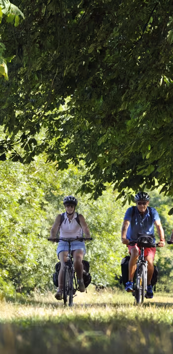 Jour 3 : Château-Gontier-sur-Mayenne à Lion d'Angers (34 km)