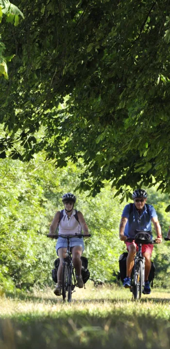Jour 3 : Château-Gontier-sur-Mayenne à Lion d'Angers (34 km)