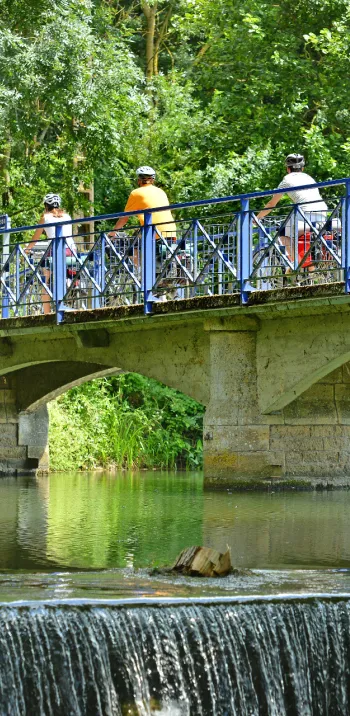 The Sèvre Niortaise & the Marais Poitevin