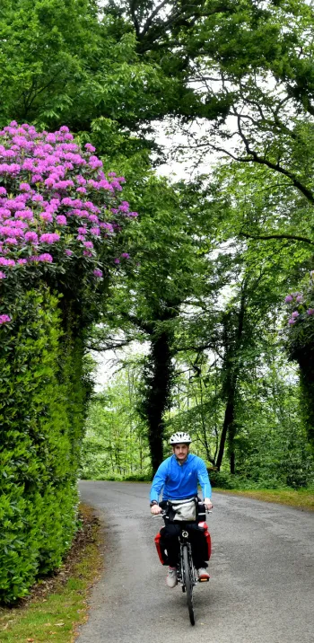 Cyclotouriste sur la Vélo Francette sur une route fleurie