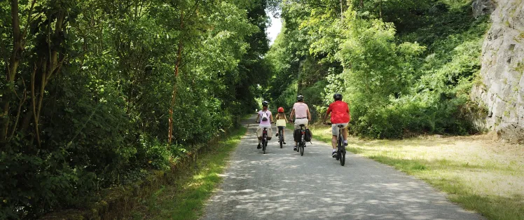 Balade autour de Domfront-en-Poiraie