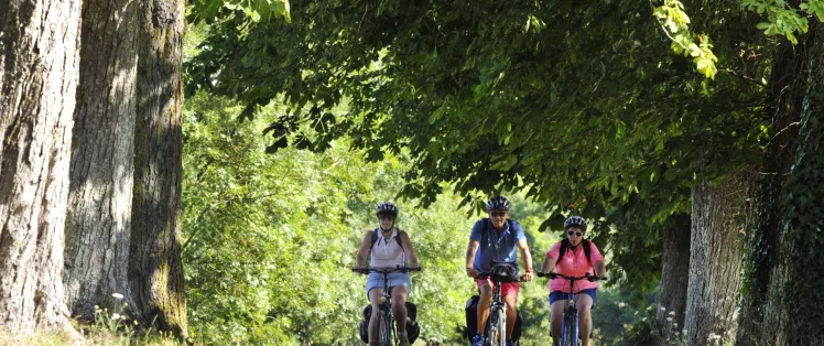 Jour 3 : Château-Gontier-sur-Mayenne à Lion d'Angers (34 km)