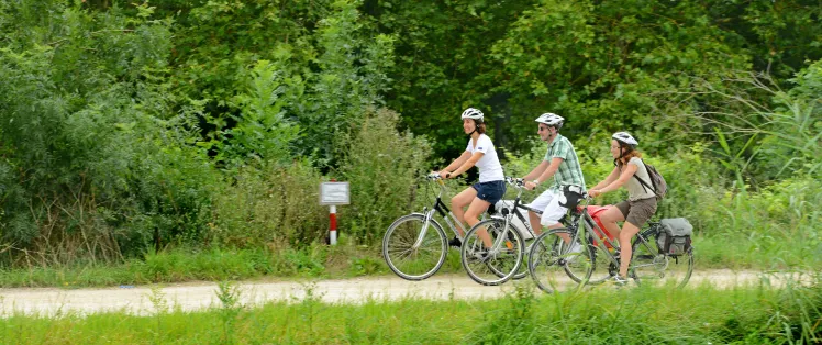 Day 2: Return to Damvix (22 km) 