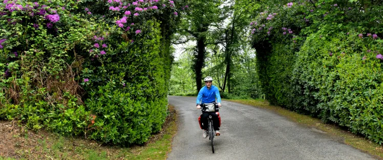 Cyclotouriste sur la Vélo Francette sur une route fleurie