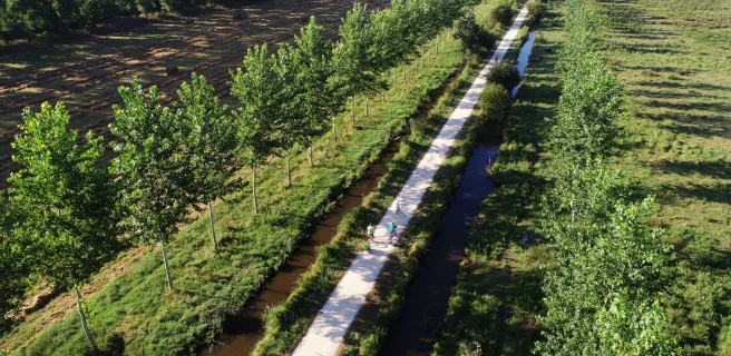 Marais Poitevin à La Garette