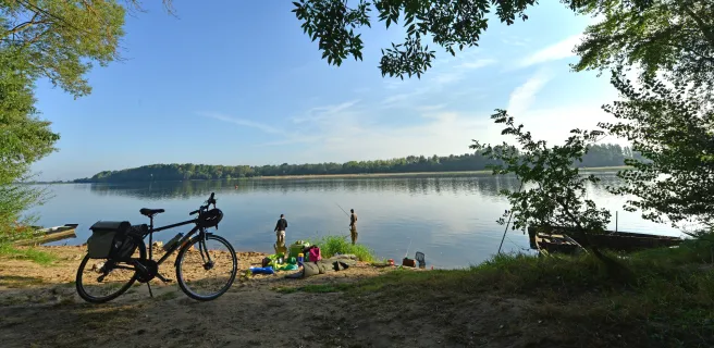 Pause pêche sur la Loire à Gennes