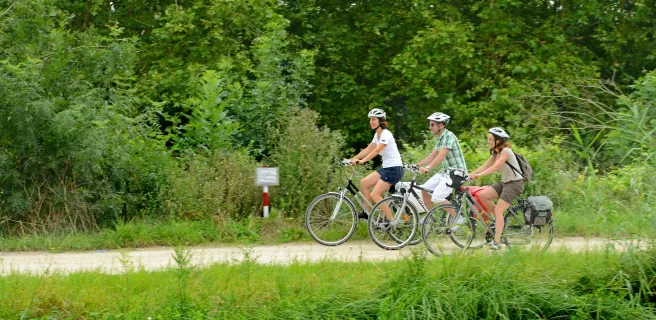 Day 2: Return to Damvix (22 km) 