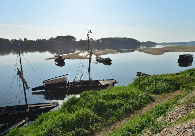 Le Thoureil en bord de Loire