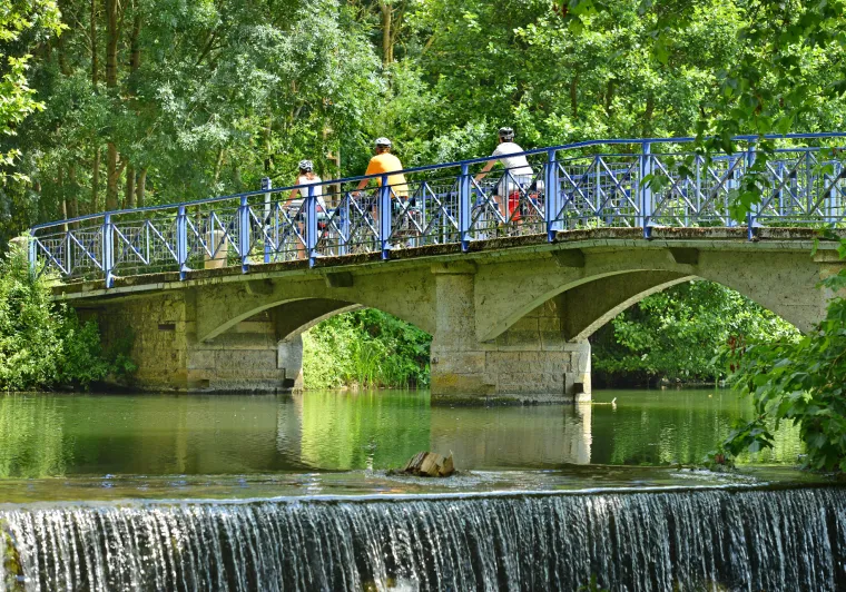 The Sèvre Niortaise & the Marais Poitevin