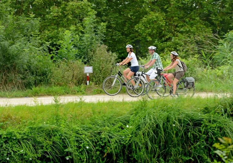 Day 2: Return to Damvix (22 km) 