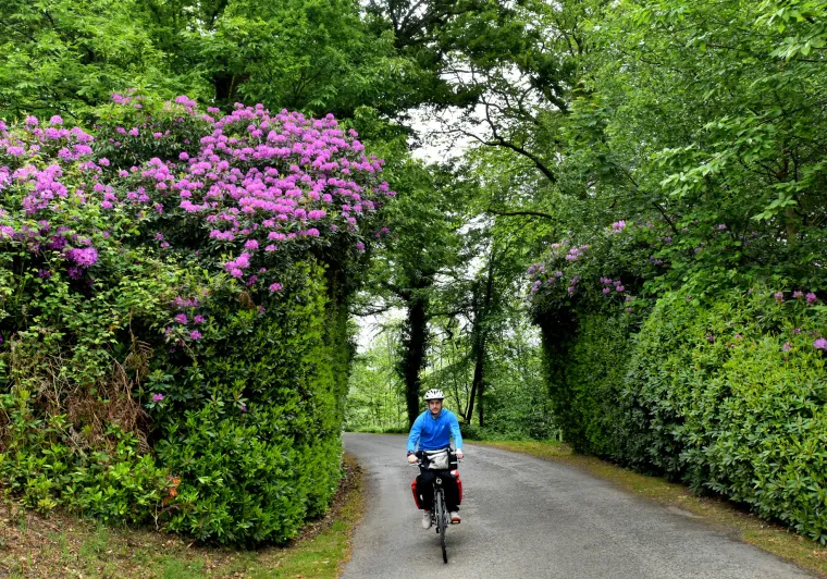 Cyclotouriste sur la Vélo Francette sur une route fleurie