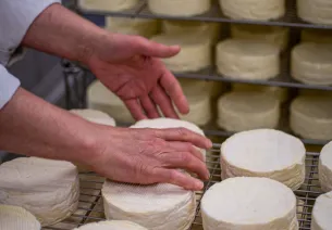 Le Camembert Normand AOP