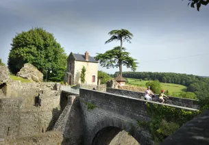 Ruines du Château de Domfront
