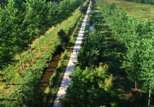 Traversée du marais Poitevin à vélo dans le secteur de La Garette