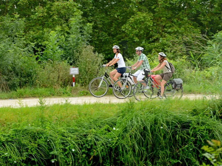Day 2: Return to Damvix (22 km) 